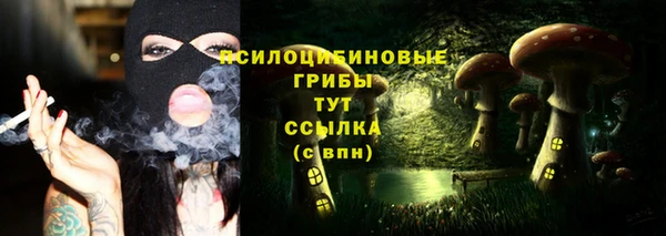 меф Снежногорск