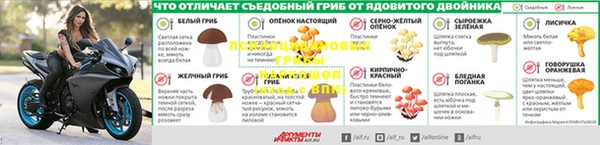молекула духа Верея