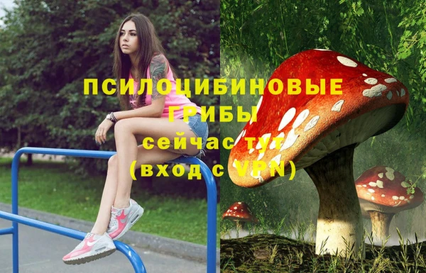 молекула духа Верея