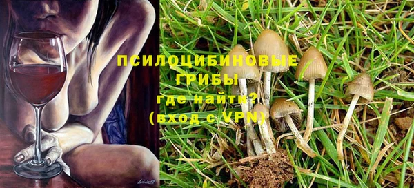 молекула духа Верея