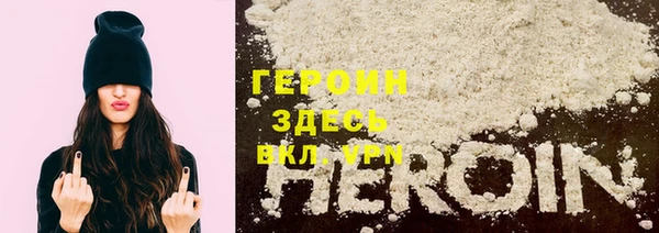 шишки Слюдянка