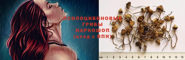 молекула духа Верея